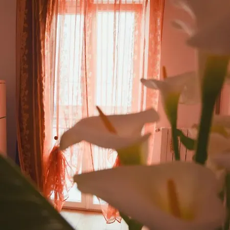 Casa Viola -locazione Breve